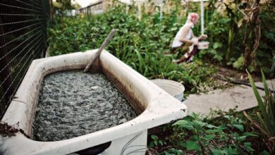 Photo of Come fare e usare il Tè Aerato al Compost (ACT) nel vostro giardino