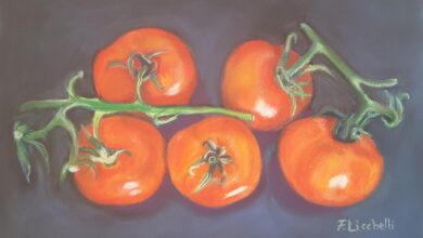 Photo of Come incorniciare i pomodori