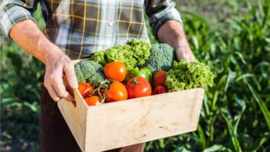 Photo of Come iniziare a coltivare la propria frutta e verdura