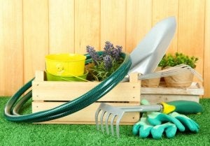 Photo of Come mantenere e curare i vostri attrezzi da giardinaggio