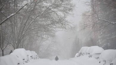 Photo of Come preparare la vostra casa per una bufera di neve