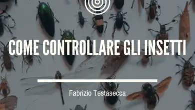 Photo of Come sterilizzare il terreno per controllare insetti e malattie