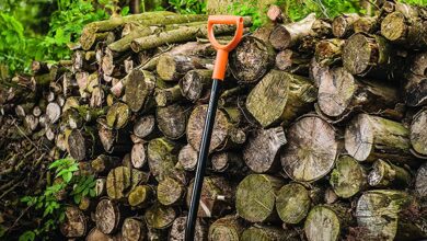 Photo of Come usare un forcone per promuovere un buon drenaggio nel vostro giardino