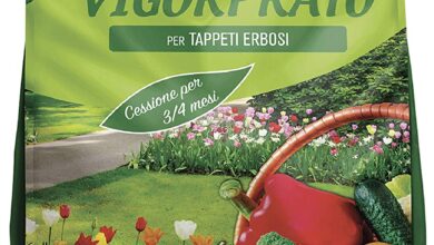 Photo of Concimi da giardino: 3 tipi e il modo migliore per usarli tutto l’anno