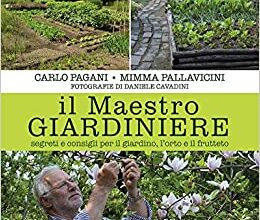 Photo of Consigli di giardinaggio per il mese di gennaio e lista delle cose da fare per area di piantagione e regione