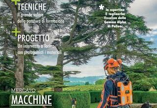 Photo of Consigli di giardinaggio per il mese di novembre e lista delle cose da fare per area di coltivazione e regione