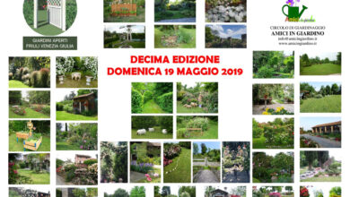 Photo of Consigli e attività di giardinaggio a marzo per ogni area di coltivazione e regione