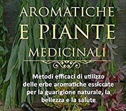 Photo of Cosa sono le piante medicinali? Giardinaggio con piante medicinali