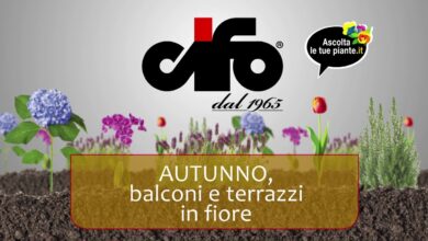 Photo of Cura dei campi dei Radicani o dello stabilimento di Red Bignonia