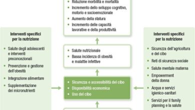 Photo of Cura della Faucaria o della pianta dei Denti di Lupo