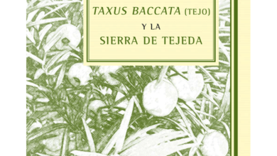 Photo of Cura della pianta Juniperus phoenicea o Sabina negral