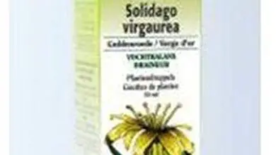 Photo of Cura della pianta Solidago virgaurea o Vara de oro