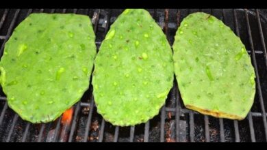 Photo of Cura di Opuntia engelmannii o Nopal Cuijo