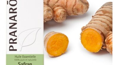 Photo of Curcuma longa safran indien, curcuma, curcuma commun