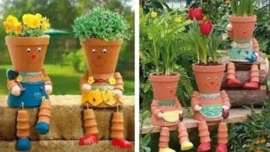 Photo of divertenti progetti di giardino realizzati con vasi di argilla