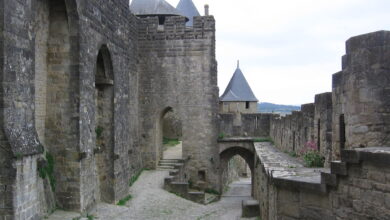 Photo of Encefalati di Altenstein