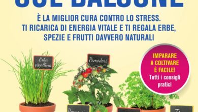 Photo of Erbe e spezie indiane – Consigli per coltivare un giardino di erbe indiane