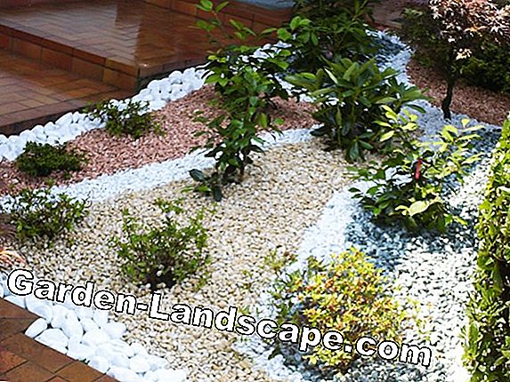 Finire il giardino con la corteccia decorativa - Il Giardino Commestible