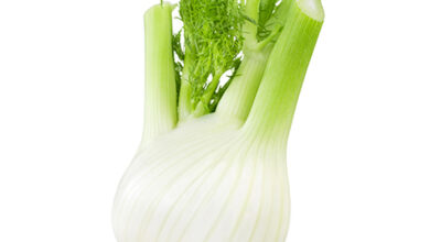 Photo of Finocchio