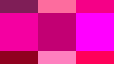 Photo of Fucsia