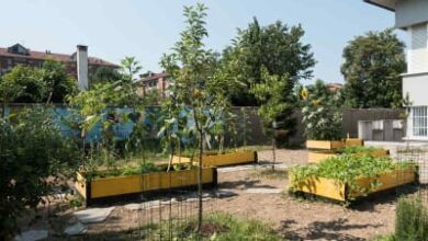 Photo of Giardini di proprietà: raccogliete la sfida!