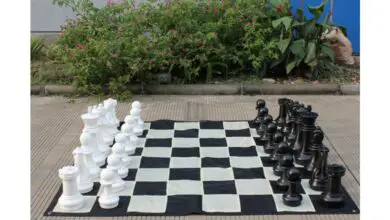 Photo of giardino a scacchi
