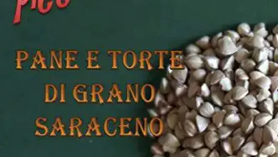 Photo of Grano saraceno viola, Grano saraceno viola