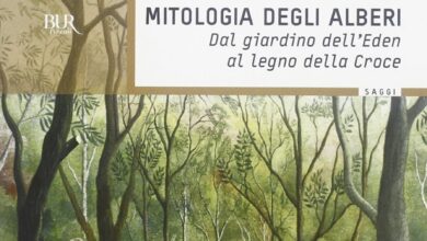 Photo of I 10 miti degli alberi