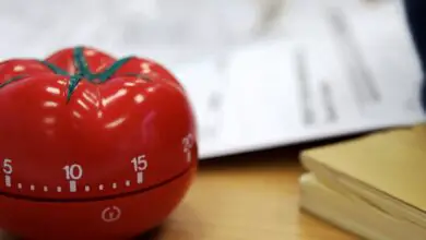 Photo of I 5 modi migliori per scommettere sui pomodori