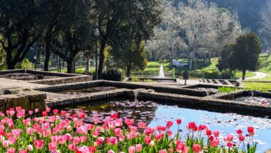 Photo of I migliori giardini pubblici da visitare in primavera o in estate