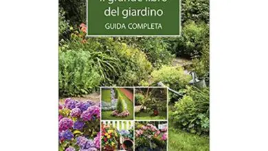 Photo of I migliori libri di giardinaggio per ogni tipo di giardino