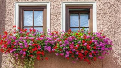 Photo of Il miglior consiglio per i fioriere da balcone