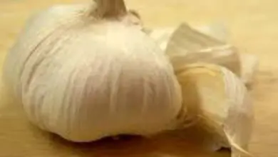 Photo of Il mio aglio sembra una cipolla – perché i miei spicchi d’aglio non si formano?