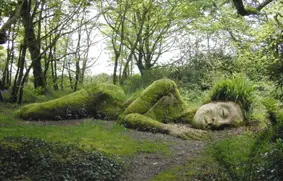 Photo of Il muschio può creare un magico giardino fiabesco