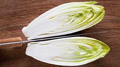 Photo of Indivia, indivia di Bruxelles, cicoria, indivia