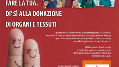 Photo of Le basi del trapianto: tutto quello che bisogna sapere per iniziare
