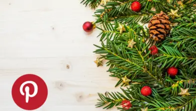 Photo of Le migliori piante di Natale per festeggiare le feste