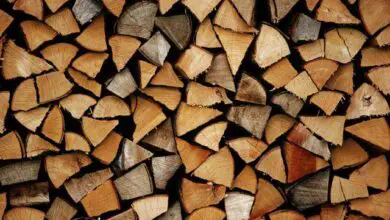 Photo of Legna da ardere gratuita : 4 opzioni per trovare e raccogliere la propria legna da ardere