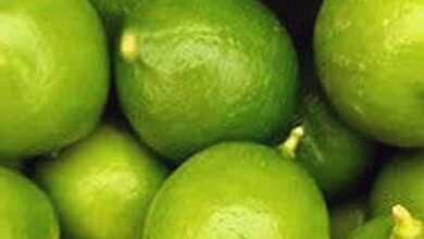 Photo of Limes
