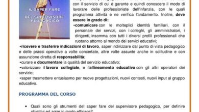 Photo of L’importanza di costruire nidi e quali sono i ragazzi che…