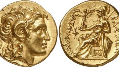 Photo of Lysimachus comune, Gran Lysimachus