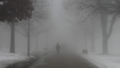 Photo of Nebbia interna