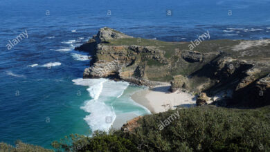 Photo of Penisola del Capo Aloe Commix