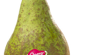 Photo of Pere