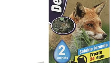 Photo of Pesticidi e bambini, animali domestici e animali selvatici