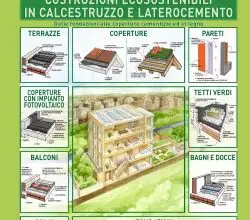 Photo of Pianta di calcestruzzo: Guida alla coltivazione, alla cura, ai problemi e alla raccolta