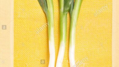 Photo of Porro di allium porrum Porro