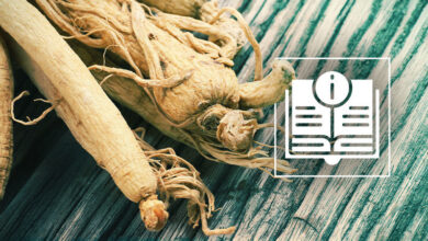 Photo of Raccogliere il ginseng americano: è legale raccogliere radici di ginseng?