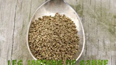 Photo of Raccolta di semi di sesamo – Imparare a raccogliere i semi di sesamo