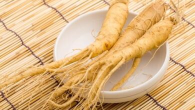 Photo of Radice di ginseng essiccata: imparare a conservare le piante di ginseng